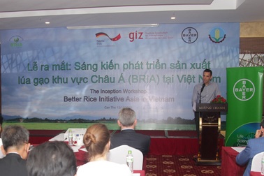 Ngành lúa gạo Việt Nam: Cơ hội phát triển từ những dự án hợp tác