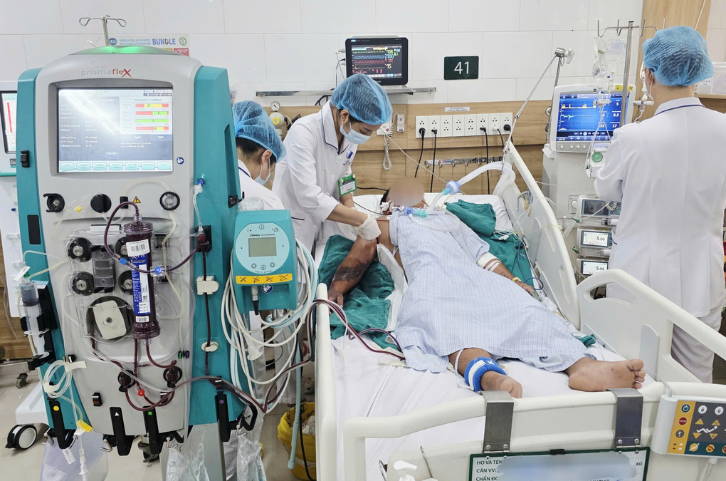 Xử lý sai cách khi bị rắn hổ mang cắn, người đàn ông không qua khỏi - 1 Xử lý sai cách khi bị rắn hổ mang cắn, người đàn ông không qua khỏi - 1