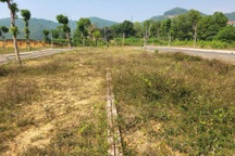 "Cá mập" sẵn tiền mặt rục rịch gom đất nền cắt lỗ, chuyên gia cảnh báo