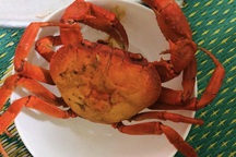 Chán cua biển, cua đồng, giới nội trợ lùng mua cua đá núi