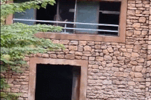 Khoảnh khắc nhân viên vườn thú suýt bị hà mã giết chết trước mắt du khách