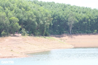 Tìm kiếm người đàn ông nghi vấn tự tử cùng 2 cháu bé