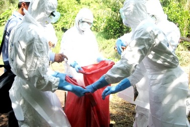 Cúm A/H5N1 “vây” Đồng bằng sông Cửu Long