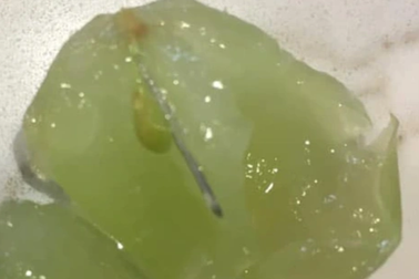 Kim nhọn lại xuất hiện trong hoa quả tươi ở Australia