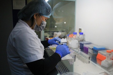 Chuyện ly kỳ đằng sau những tờ kết quả ADN