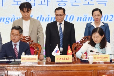 Sang Hàn Quốc lao động thời vụ nông nghiệp, lương 40 triệu đồng/tháng