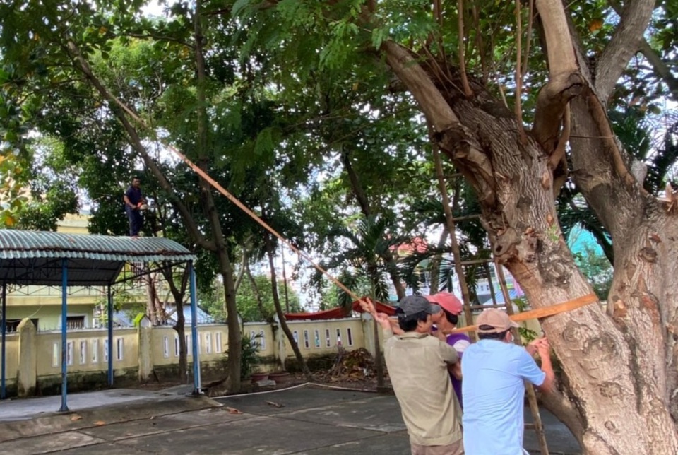 Ngày mai 14/11, học sinh Đà Nẵng, Huế nghỉ học để phòng bão số 13 - 1 Ngày mai 14/11, học sinh Đà Nẵng, Huế nghỉ học để phòng bão số 13 - 1