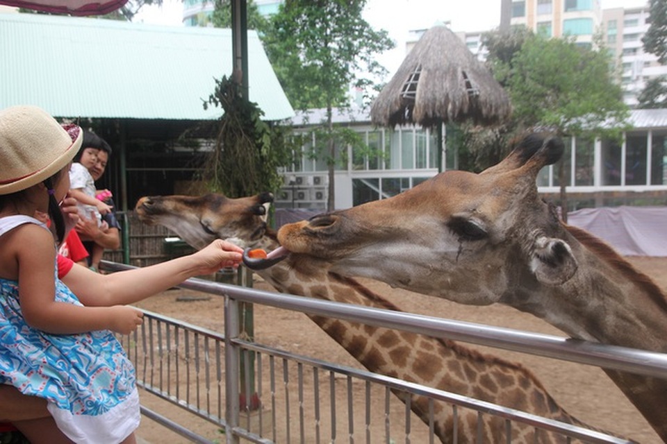 Vườn thú lâu đời nhất Việt Nam đóng cửa tránh dịch bệnh Covid-19 - 1