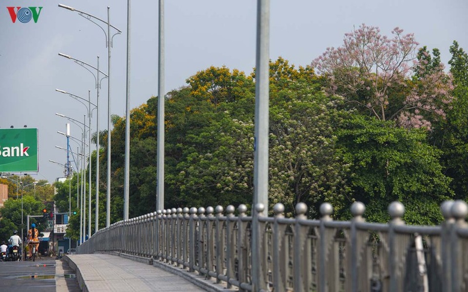 Huế - Thành phố của những sắc hoa mùa hạ - 8 Huế - Thành phố của những sắc hoa mùa hạ - 8