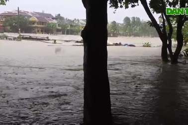 Bờ biển Cửa Đại bị sạt lở nghiêm trọng, phố cổ chìm trong nước lũ