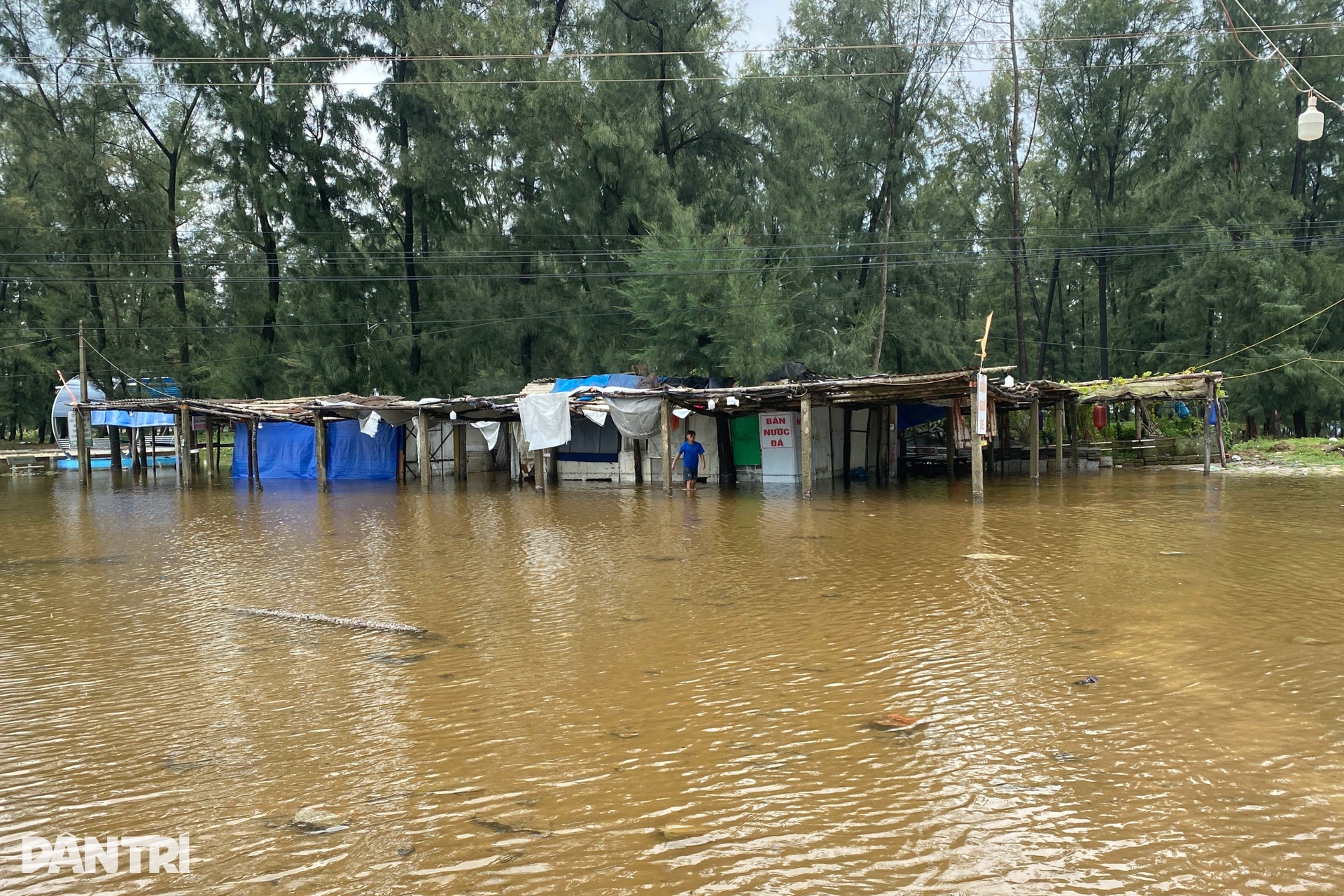 Bãi tắm vừa hồi sinh lại tan hoang sau bão Bualoi - 10