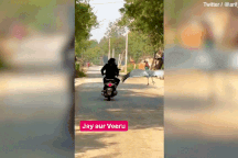 Sếu đầu đỏ bay bám riết ân nhân sau khi được cứu sống