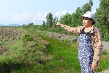 Bài 15: Công dân Tiếp tục ngóng kết luận của Chủ tịch UBND tỉnh Kiên Giang