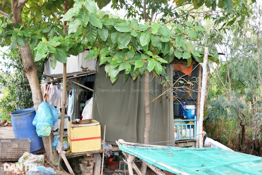 Nhờ Dân trí mà tôi có nhà mới đón Tết sau hơn chục năm nhà dột cột xiêu - 7 Nhờ Dân trí mà tôi có nhà mới đón Tết sau hơn chục năm nhà dột cột xiêu - 7
