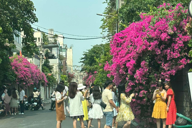 Giới trẻ đổ xô đến nhà hoa giấy gây sốt, chủ nhà ở TPHCM "kêu cứu"