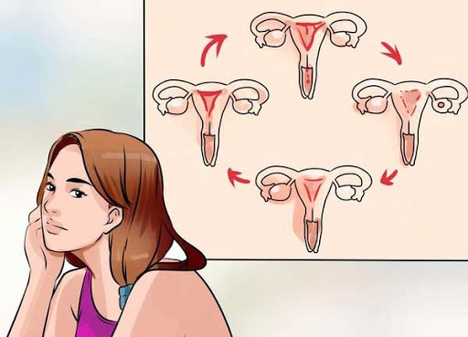 Nga Phụ Khang - Giải pháp giúp cải thiện u nang buồng trứng an toàn, hiệu quả - 1 Nga Phụ Khang - Giải pháp giúp cải thiện u nang buồng trứng an toàn, hiệu quả - 1