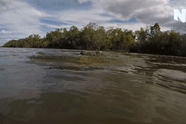 Thiếu nữ tắm sông tử vong vì bị cá sấu tấn công