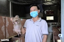 Anh nông dân tiết lộ bí quyết nuôi con "ăn ngày ngủ đêm" cho thu nhập cao