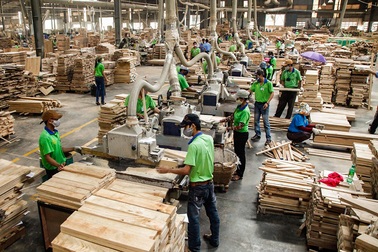 Hơn 250.000 người lao động ngoại tỉnh sẽ ở lại Bình Dương đón Tết