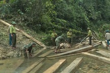 Phá rừng nghiêm trọng ở Quảng Bình: Cách chức Trạm trưởng kiểm lâm