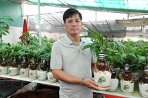 Nam công nhân thu hàng trăm triệu đồng mỗi dịp Tết nhờ bonsai hình con giáp