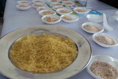 Ăn gạo mầm có thể giúp ổn định đường huyết