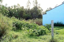 Mười năm chưa giải quyết xong một vụ tranh chấp đất: Đề nghị UBND TP Cà Mau báo cáo!