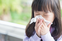 Miền Bắc nồm ẩm: 3 nhóm bệnh dễ bùng phát và cách phòng ngừa