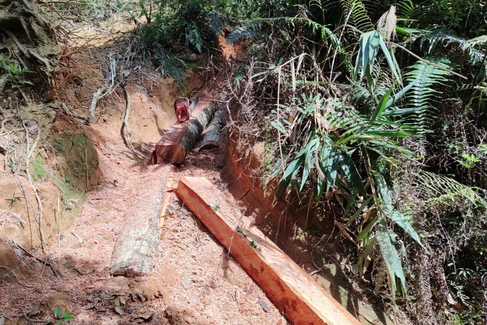 Rừng bị phá tan hoang, lâm tặc nối đuôi nhau ầm ầm xuống núi - 5 Rừng bị phá tan hoang, lâm tặc nối đuôi nhau ầm ầm xuống núi - 5