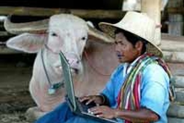 WiMax chậm chạp “khai hội”