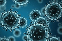 Chủng cúm khiến một người ở Bình Định tử vong có nguy hiểm?