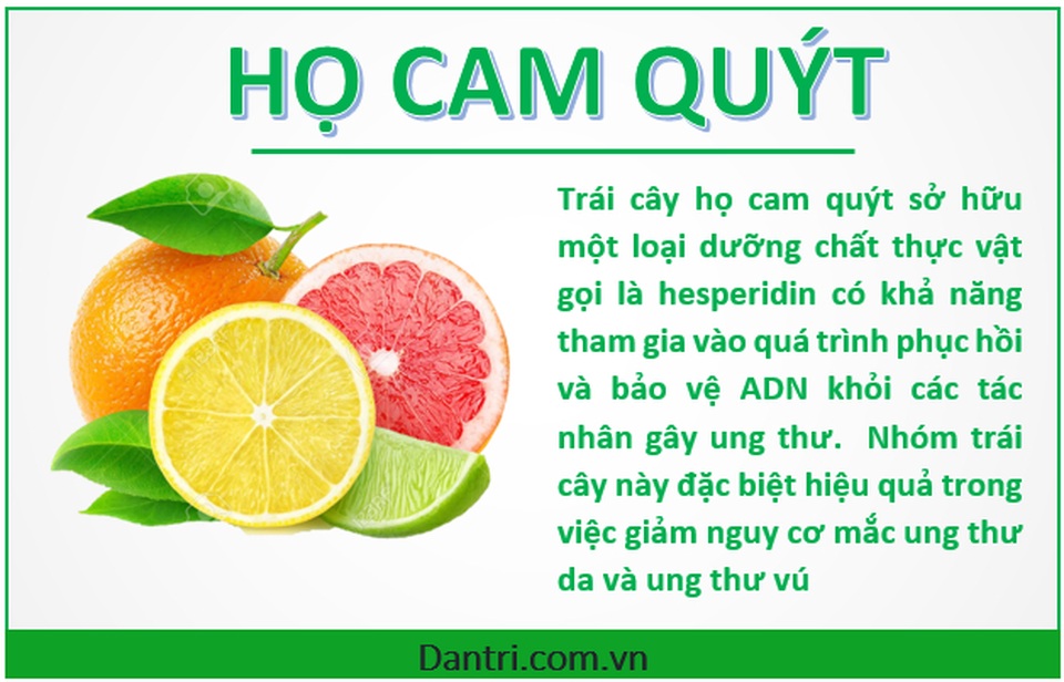 Những loại rau-củ-quả là “khắc tinh” của bệnh ung thư - 3 Những loại rau-củ-quả là “khắc tinh” của bệnh ung thư - 3