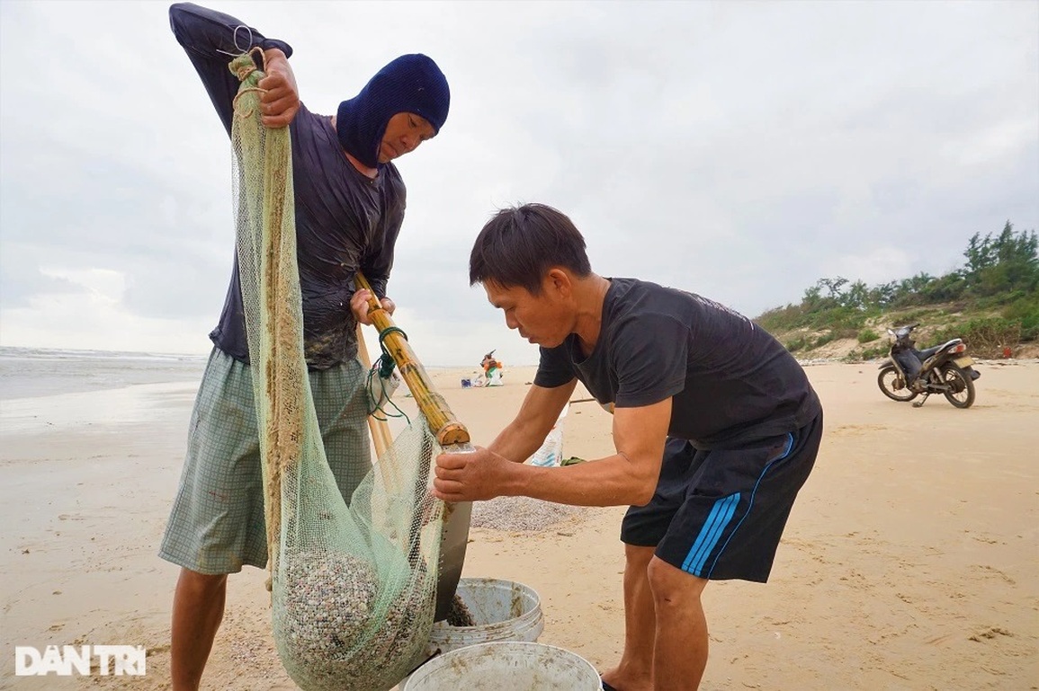 Gần Tết, ngư dân rủ nhau lội ngược sóng, lọc cát thu lộc biển - 8 Gần Tết, ngư dân rủ nhau lội ngược sóng, lọc cát thu lộc biển - 8