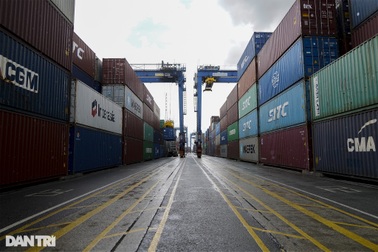 Đổi mới đào tạo để nhân lực logistics thích ứng với Covid-19