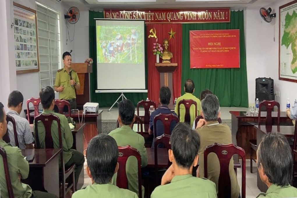 Phát hiện cá thể nghi vượn đen má trắng gần sân bay Đà Nẵng - 2 Phát hiện cá thể nghi vượn đen má trắng gần sân bay Đà Nẵng - 2