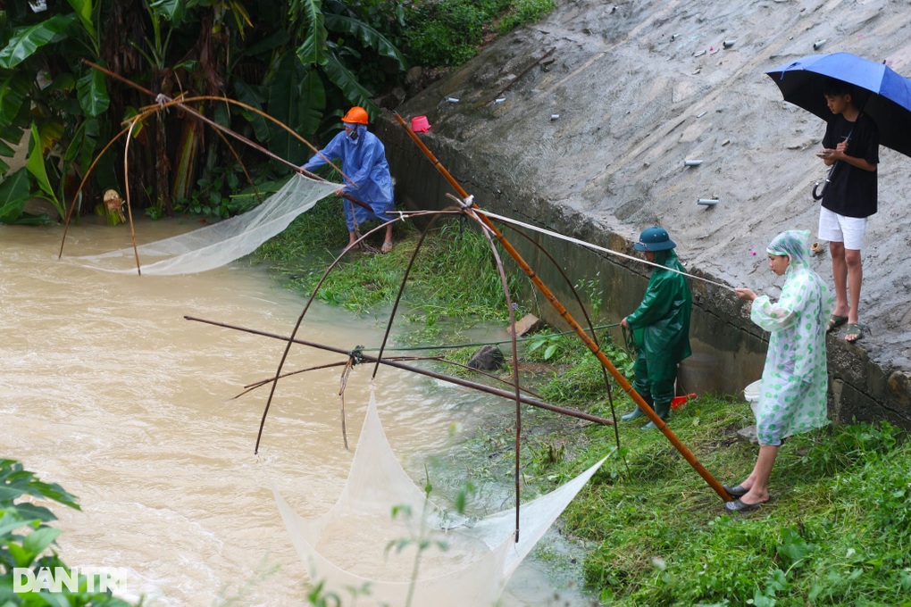 With torrential rain, people rush to find flood season specialties - 2