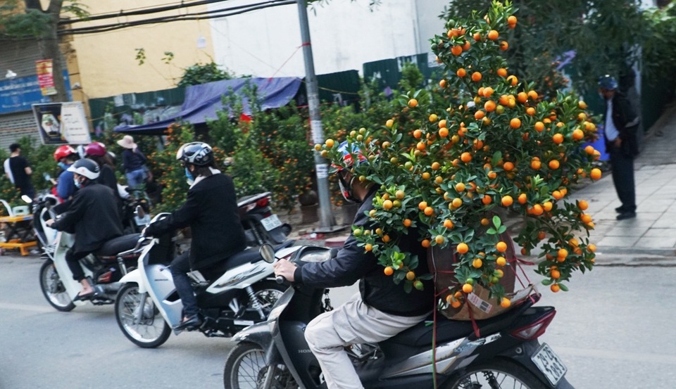 Kiếm bạc triệu mỗi ngày nhờ chở cây cảnh thuê dịp Tết - 9 Kiếm bạc triệu mỗi ngày nhờ chở cây cảnh thuê dịp Tết - 9