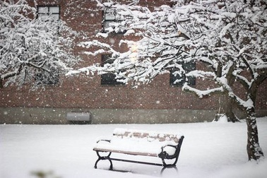 Chùm ảnh bão tuyết lịch sử tại Mỹ qua ghi nhận của du học sinh Việt 