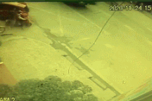 Chở nhau trên xe điện, ba học sinh lao thẳng vào xe ben