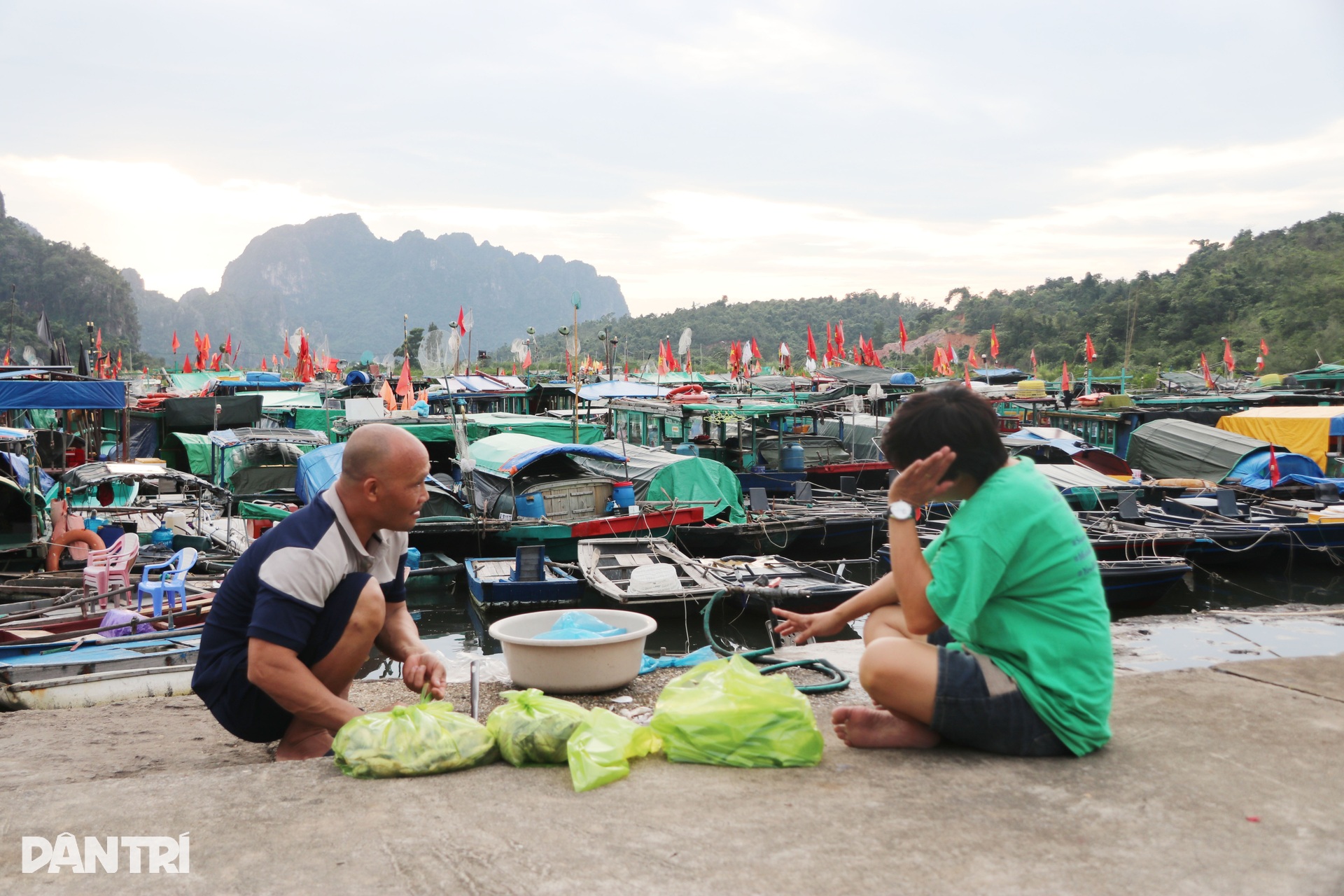 Tàu thuyền ở Quảng Ninh tìm khe núi neo đậu tránh trú bão Matmo - 5