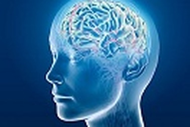 Cảnh báo: Không được để thiếu máu lên não dù chỉ là 1 giây