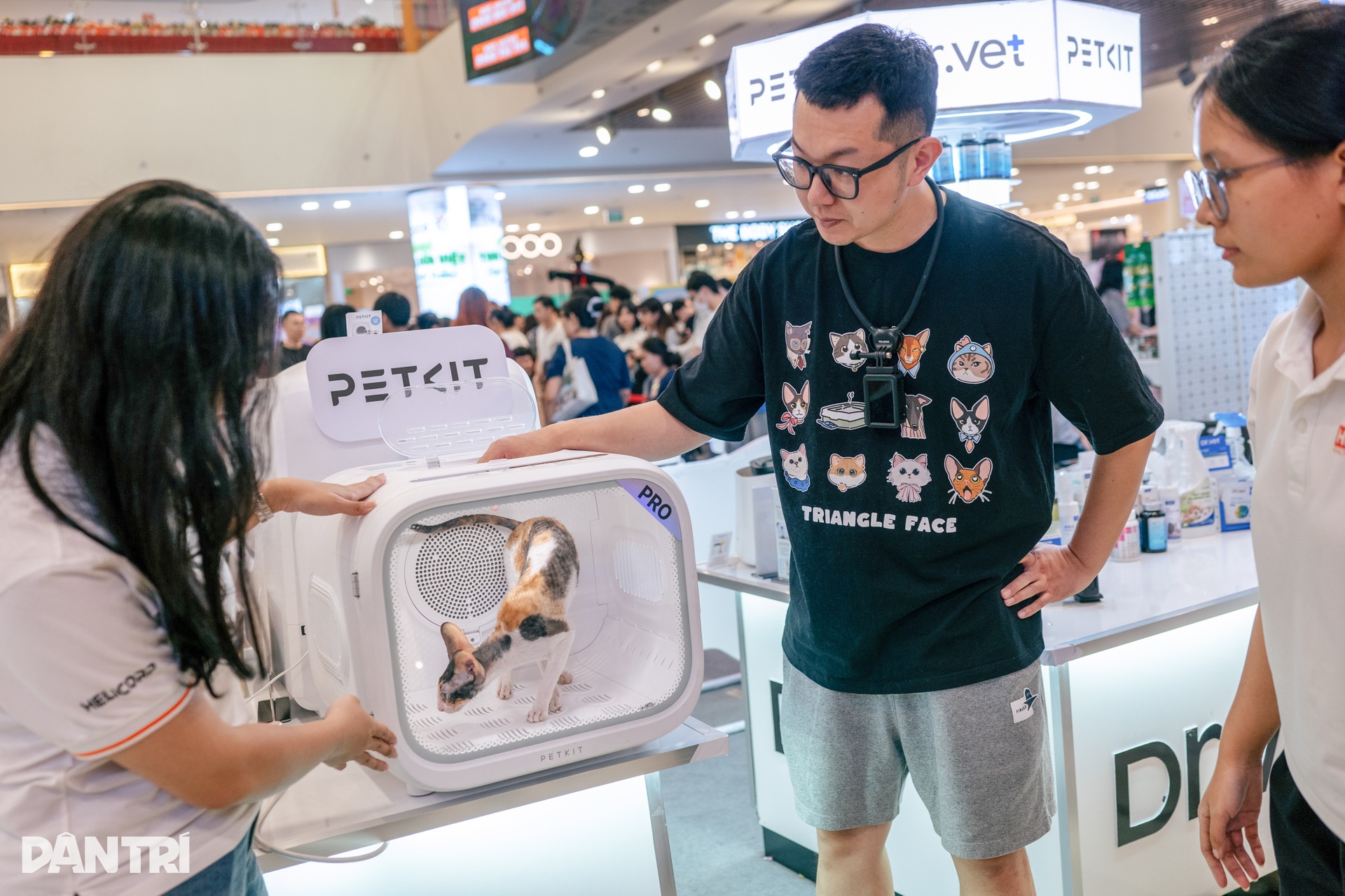 Chú mèo Thái Lan vượt 120 đối thủ, giành ngôi Hoa hậu mèo quốc tế 2025 - 6