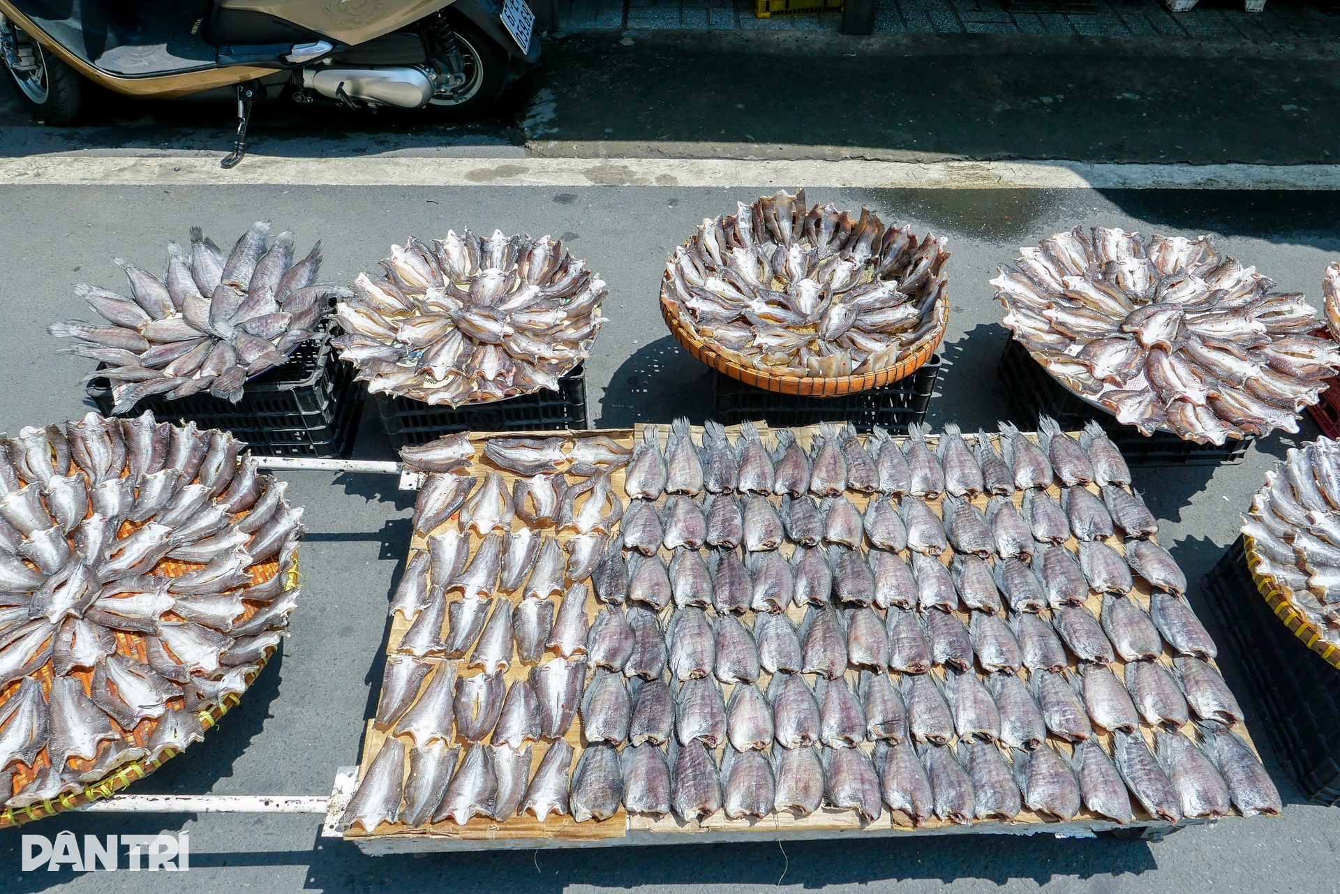 Khu chợ được ví như vương quốc mắm, bán đặc sản mùa nước nổi rẻ bèo - 6 Khu chợ được ví như vương quốc mắm, bán đặc sản mùa nước nổi rẻ bèo - 6