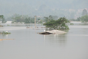 46 người chết, các địa phương đề nghị cứu trợ khẩn cấp