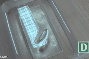 Bí mật cách làm kim băng nổi trên mặt nước