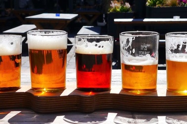 Các nhà khoa học phát hiện ra rằng bia có tác dụng chữa bệnh