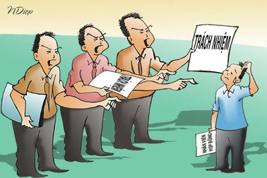 Té ra, kiểm lâm bảo vệ rừng mà để mất rừng… là không sao cả!