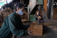 "Nghỉ hưu sớm 12 năm sẽ bị trừ 24% lương hưu, mỗi năm mất 2%"?