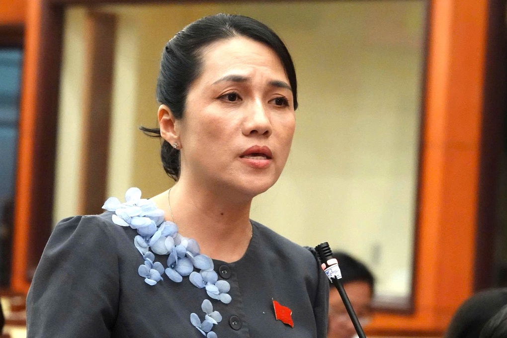 Đại biểu TPHCM: Nhà, biển hiệu sai quy định ở đâu trong các đợt kiểm tra? - 1