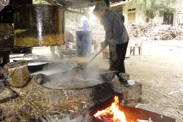 Làng mật mía vào vụ Tết